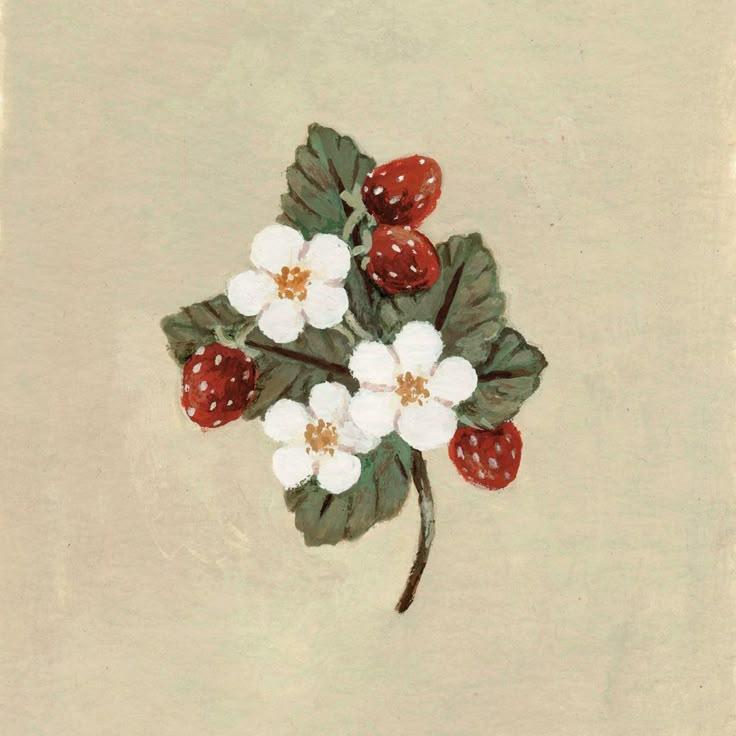 Berry Patch Medley: Farm-Fresh Flavors Unite